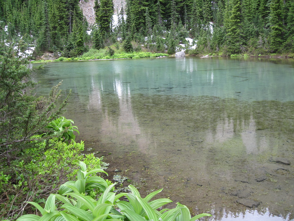 Shallow Yvonne Yvonne Lake is a small lake that is shallow… Flickr
