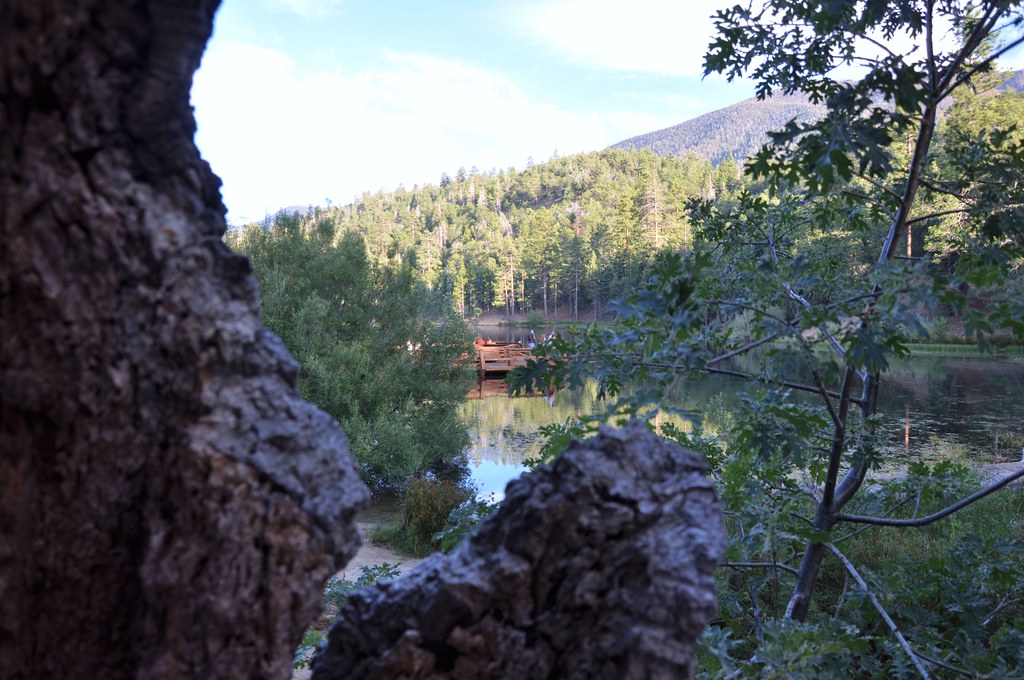 2011 08 21 Jenks Lake, Barton Flats, CA 125 Doug Carlson Flickr