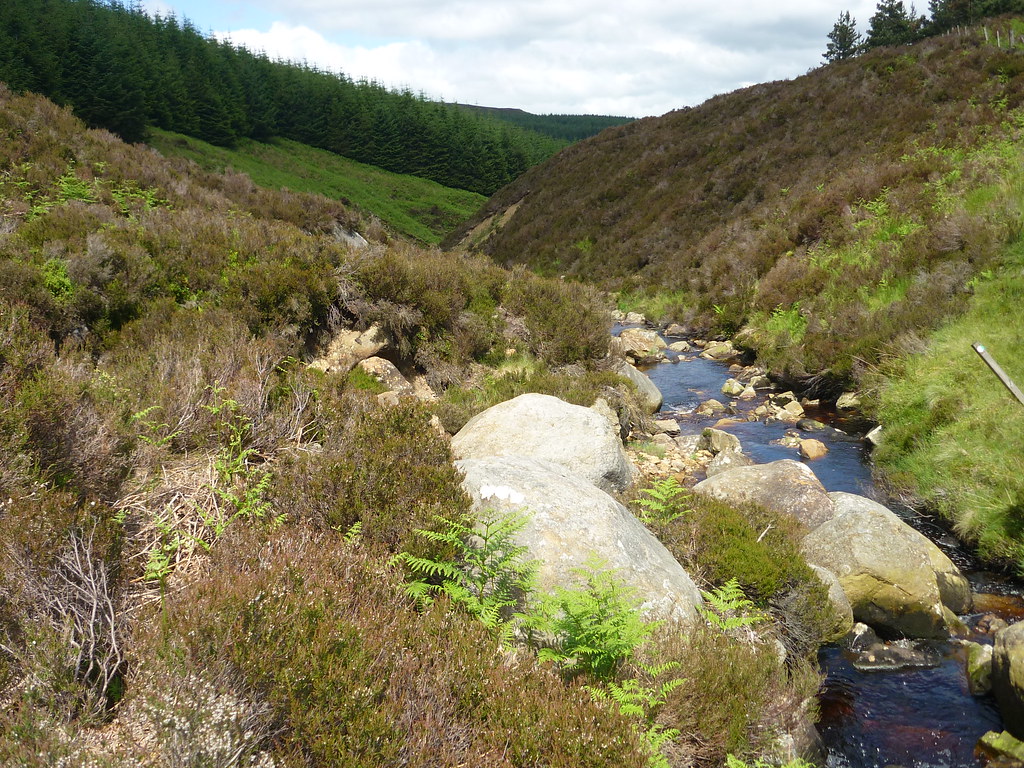 P1020579 Northumberland Border Walks Flickr