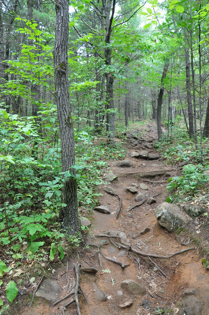 Cliff Top Trail Ryan Hadley Flickr