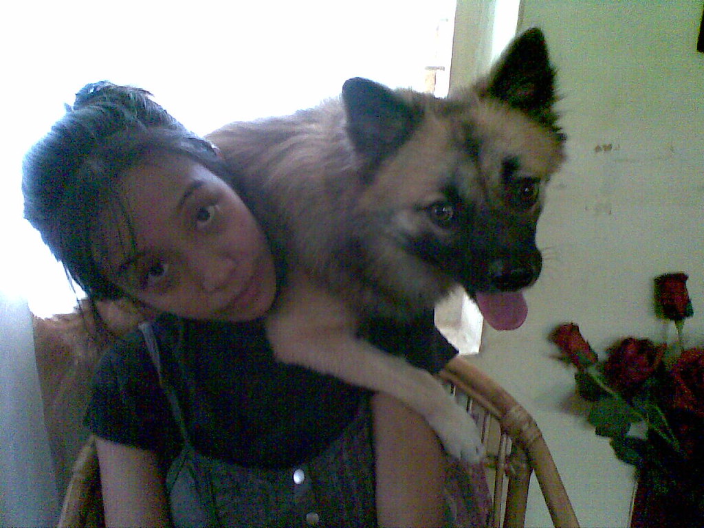 dog boarding bangalore kims place Cooch enjoys taking pict… Flickr