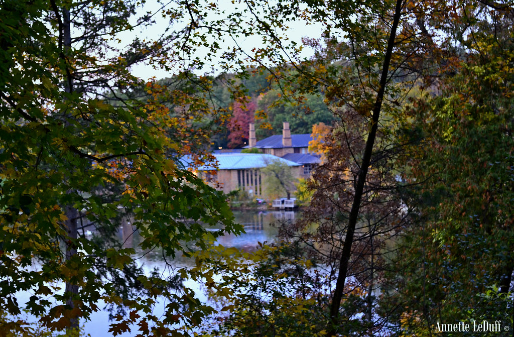Kingswood through trees Best seen on black press "L" to v… Flickr