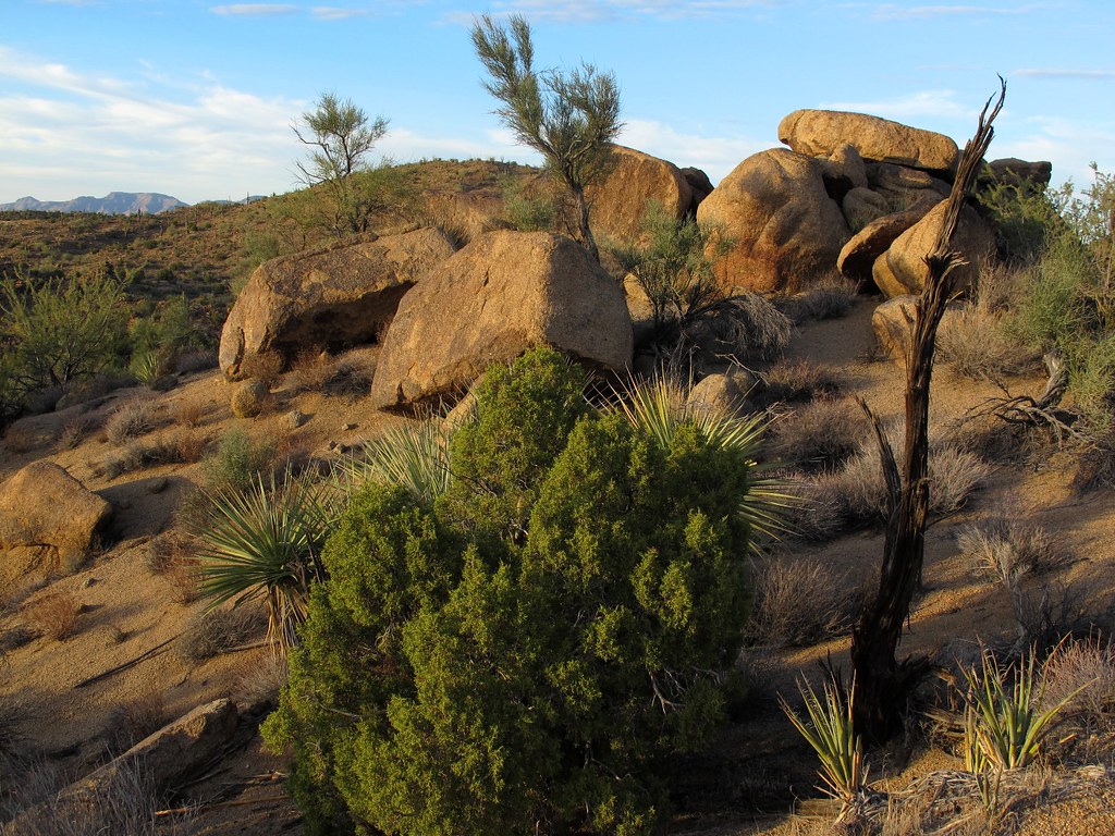 Elevation of Six Mile Crossing, AZ, USA Topographic Map Altitude Map