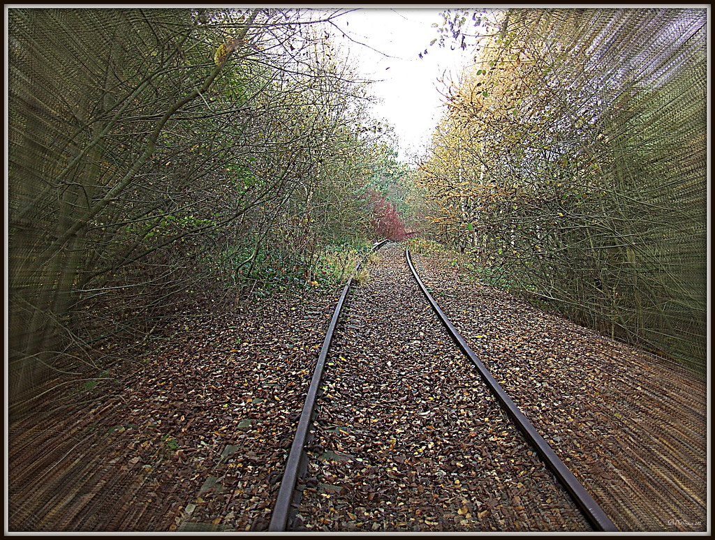 The Leamside Line 5 The Leamside Line (originally part of … Flickr
