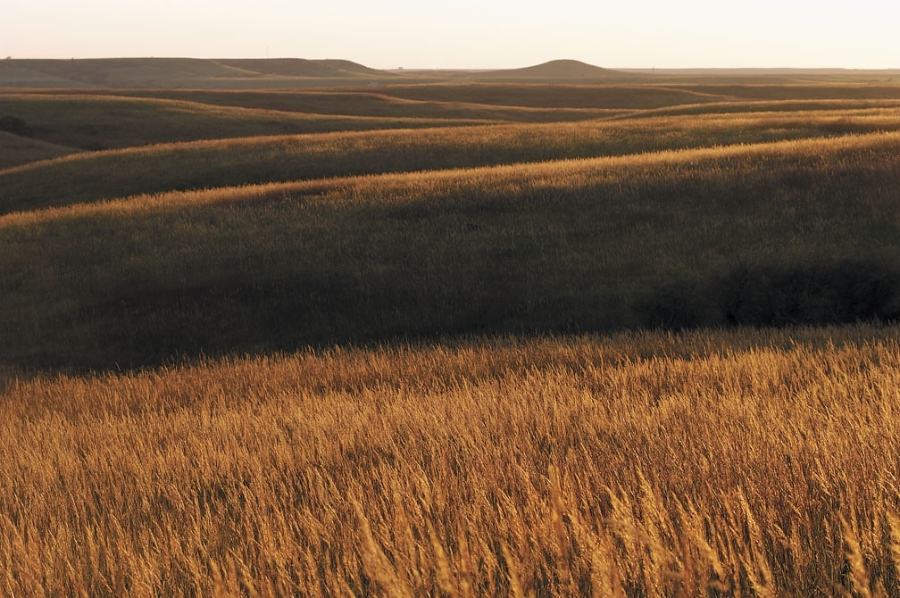 golden konza tallgrass prairie Flint Hills National Wildli… Flickr