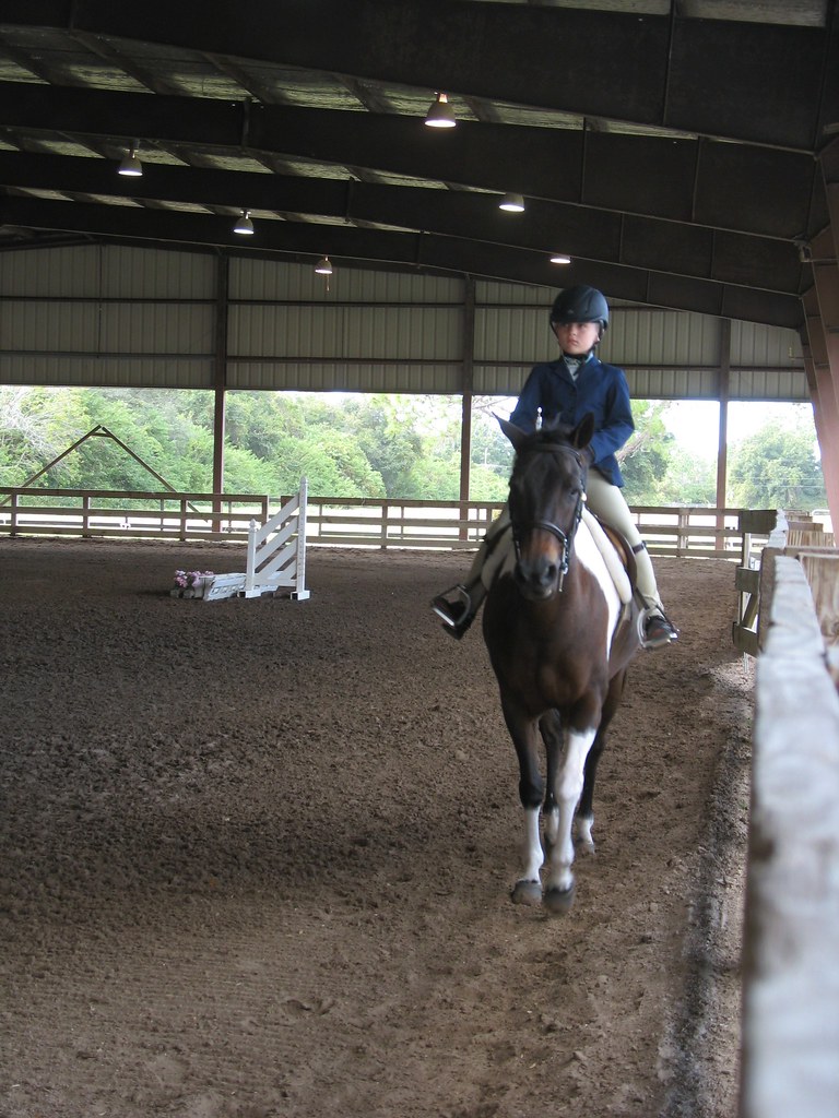 Fox Lea Farm Horse Show, Venice, Florida 11.6.2011 Flickr