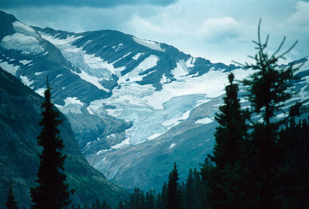 Jackson Glacier, Glacier National Park, MT (1992) The Douglas