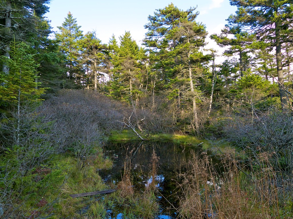 Rollins State Park in Warner, New Hampshire wxkeith Flickr