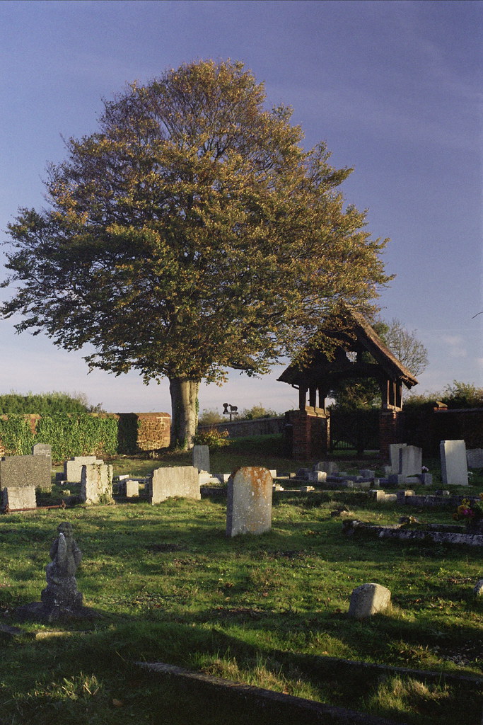 Evening Shades This is the first of the overflow cemeterie… Flickr