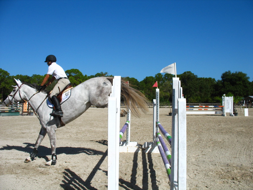 Fox Lea Farm Horse Show, Venice, Florida 11.6.2011 Flickr