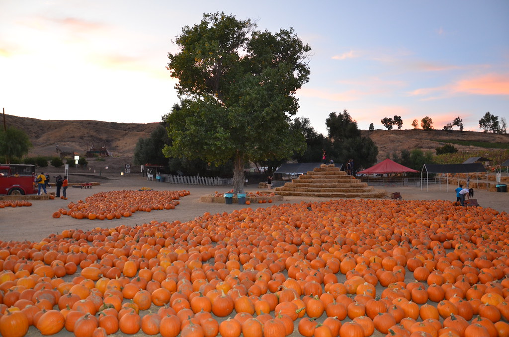 LOMBARDI RANCH SANTA CLARITA, CA Navymailman Flickr