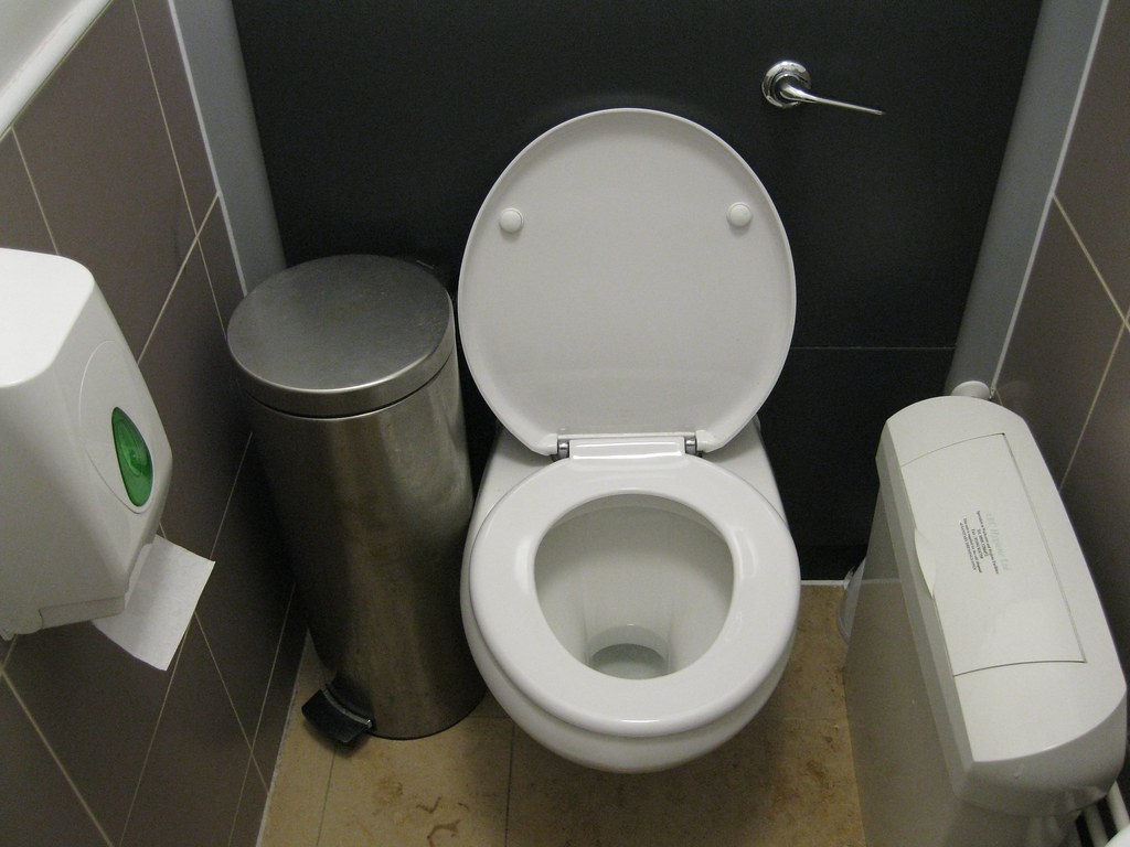 Flush toilet, UK Flush toilet at the London School of Hygi… Flickr