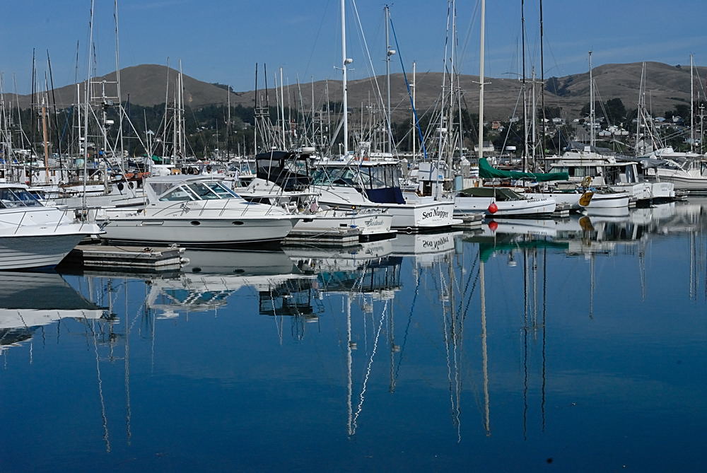 Bodega Bay Fishing Boats at Matthew Hale blog