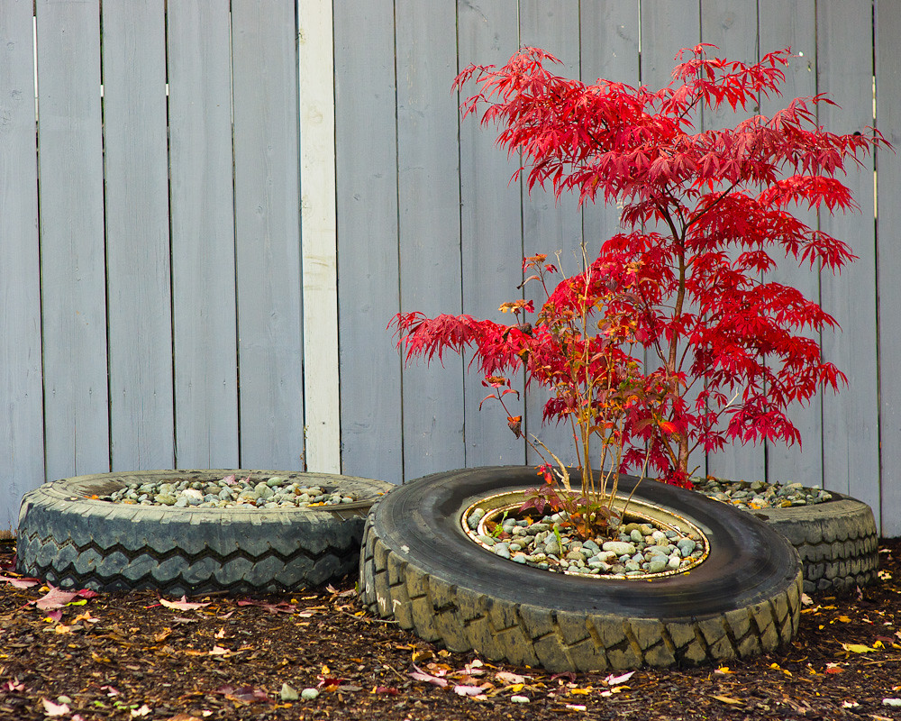 Tire Pots Steele Street, Victoria, BC cassiusroads Flickr