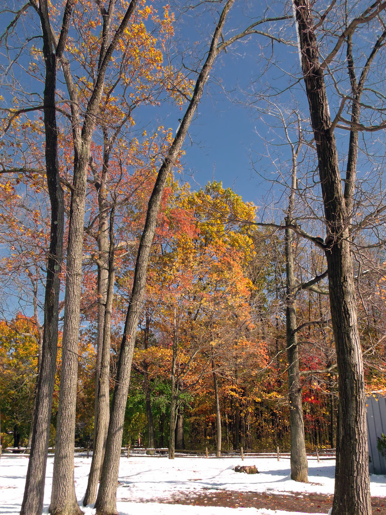 Around the Park (1) Wind Gap Park, Northampton County, aft… Flickr