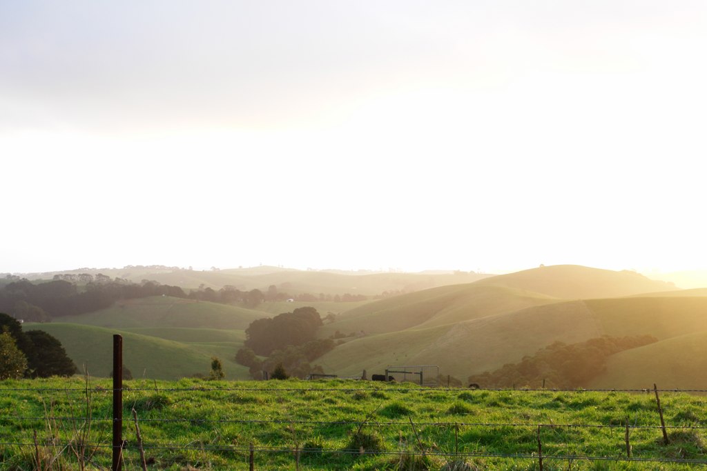 Rental Properties In Foster Victoria at Gibson blog