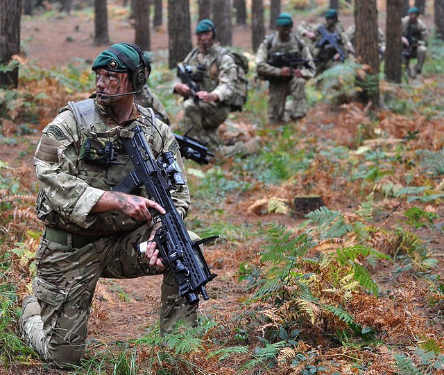 Royal Marine Commandos on Exercise in British Woodland a photo on