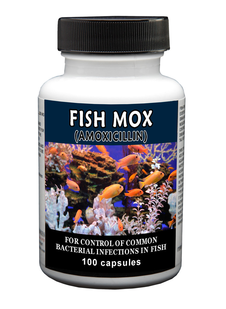FishMox100count_bottle Thomas Laboratories Flickr