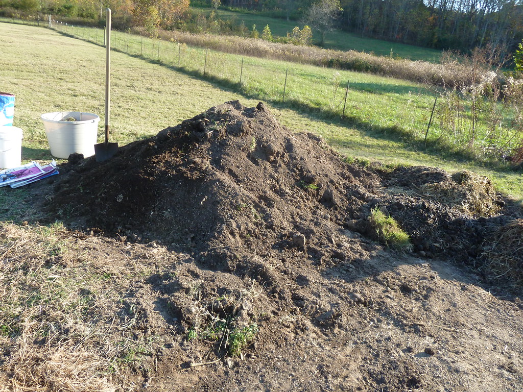 Alpaca poop pile Keren Flickr