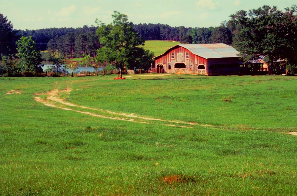 Thaggard's Farm Brantley, AL 1980 Nikon F2 w/50mm lens Kendrick