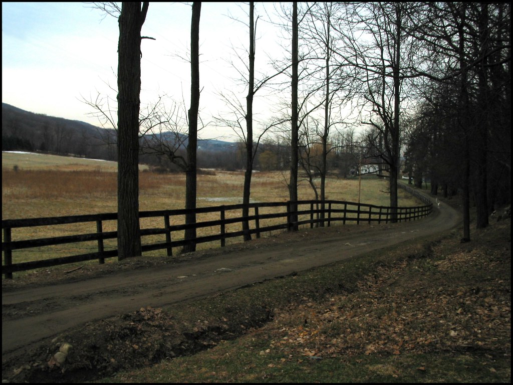 Frog Hollow Road at Dawn A piecful morning, shortly after … Flickr