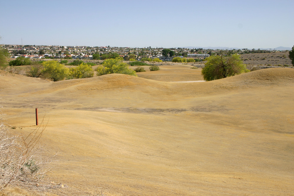 Emerald River Dormant Bermuda Grass. Hopefully this will o… Flickr
