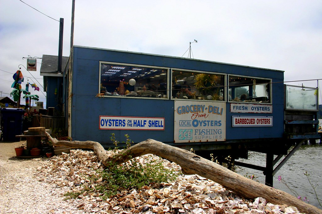 oyster shack dotpolka Flickr