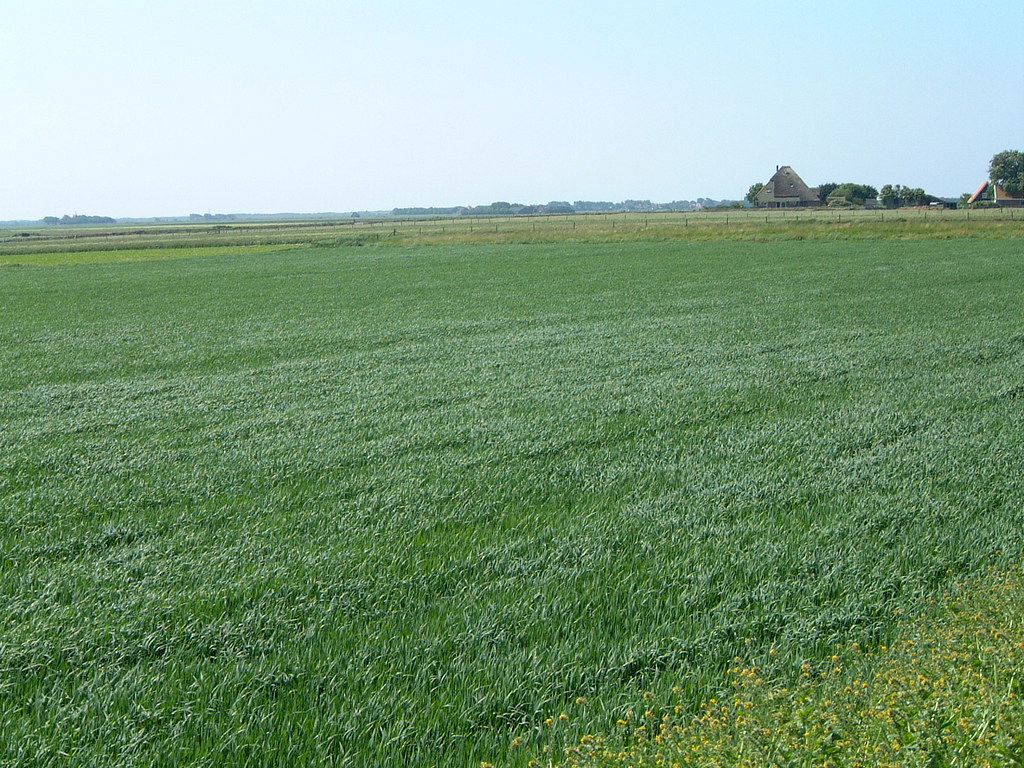 b17maartent1349 VIPRE Antivirus Discount Coupon Code Migen Blog