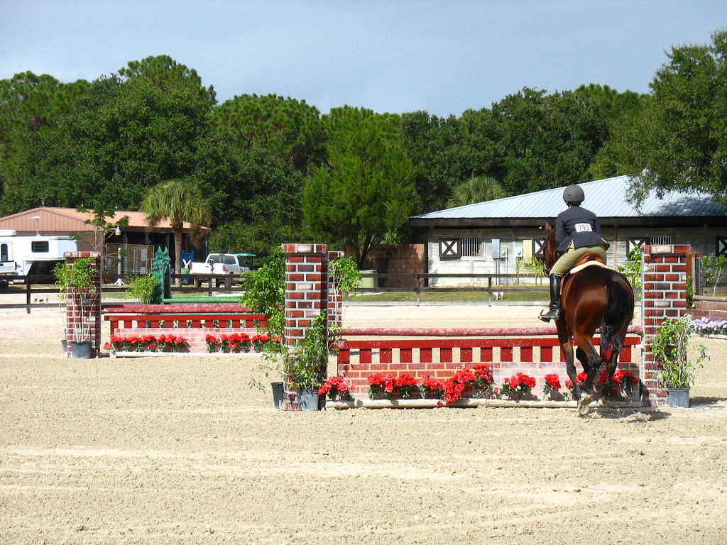 Fox Lea Farm Horse Show, Venice, Florida 11.6.2011 Flickr