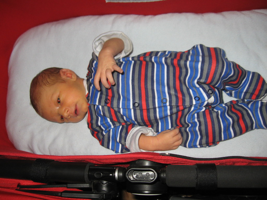 IMG_3922 Thomas dans sa pousette Thomas Labrecque Flickr