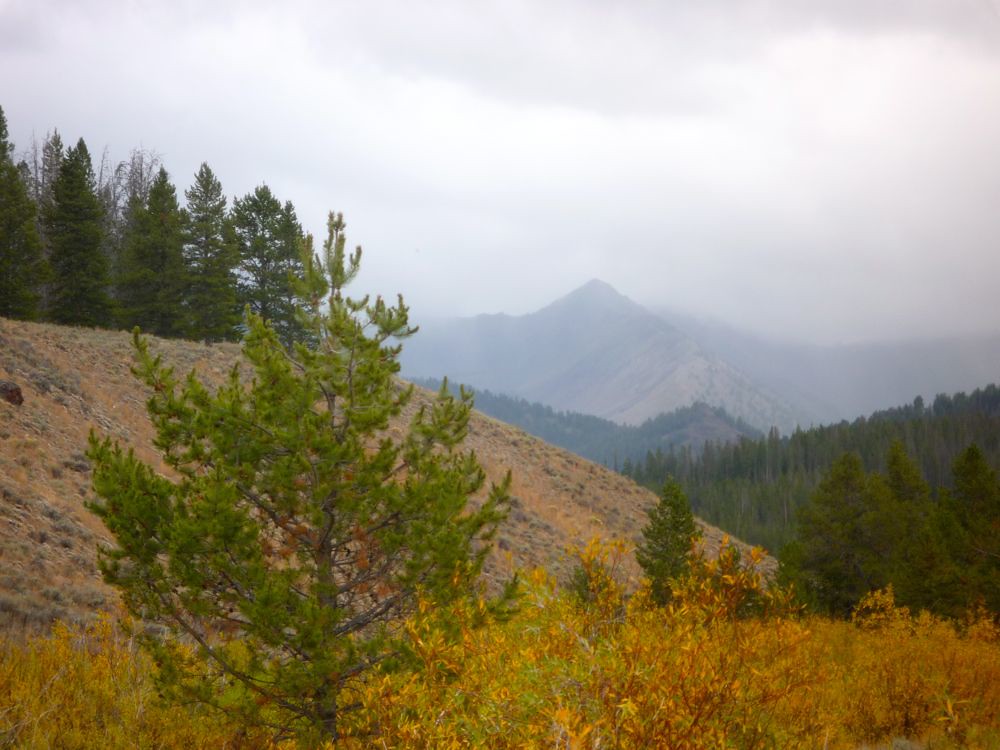 View from Smiley Creek Looking south toward the Boulder Mo… Flickr