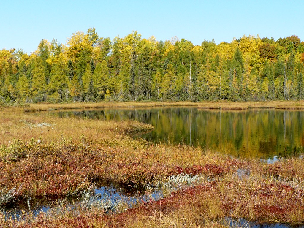 Laura Lake's Instagram, Twitter & Facebook on IDCrawl