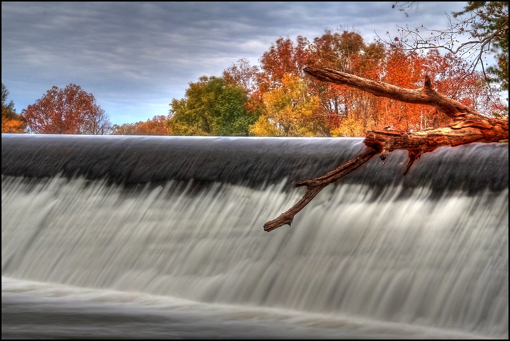 log Sallisaw City Park. super*dave Flickr