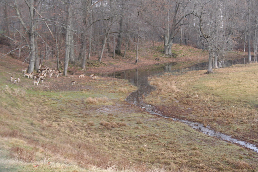 Iroquois Farm deer enclosure This private enclosure of Eur… Flickr