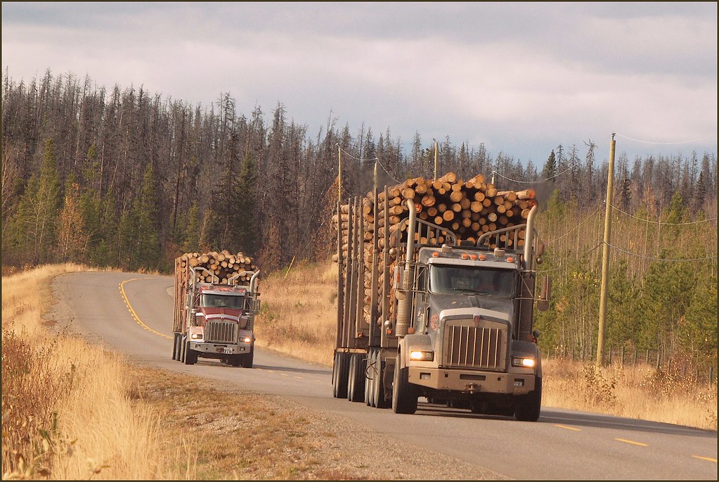 The backbone of our economy. Nazko Road west of Quesnel, B… Flickr