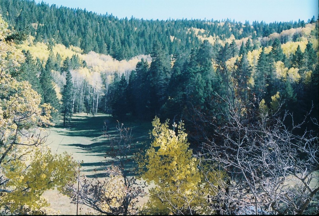 Lincoln National Forest Visit Carlsbad New Mexico