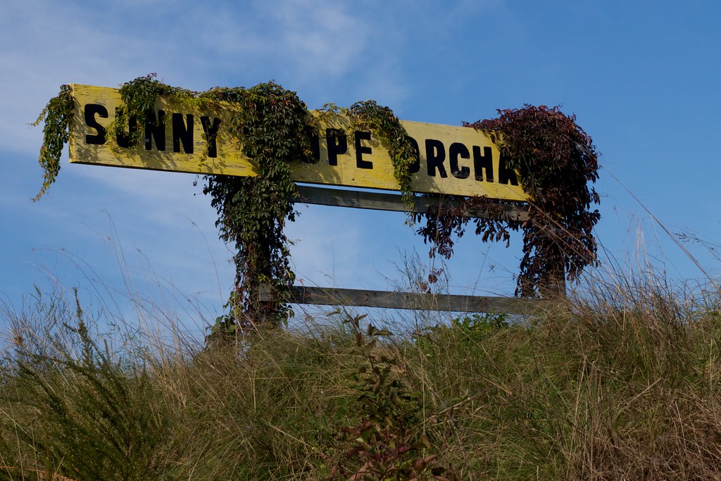 Sunny Slope Orchard Alan Levine Flickr