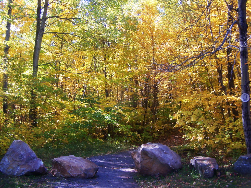 Start of Lyon Mountain Trail Flickr