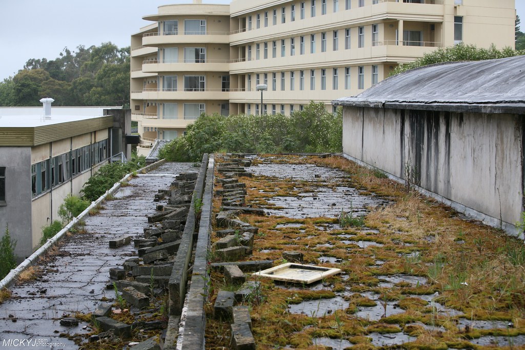All will be reclaimed by nature MOUNT Gambier’s abandoned … Flickr