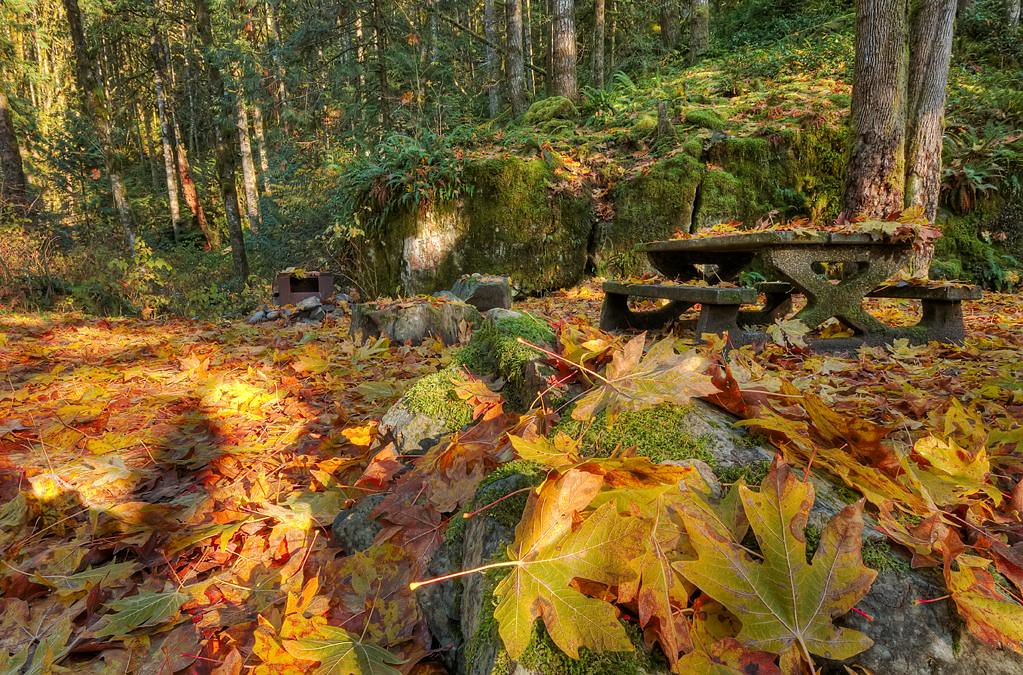 End of Camping Season Chehalis River basin located in the … Flickr