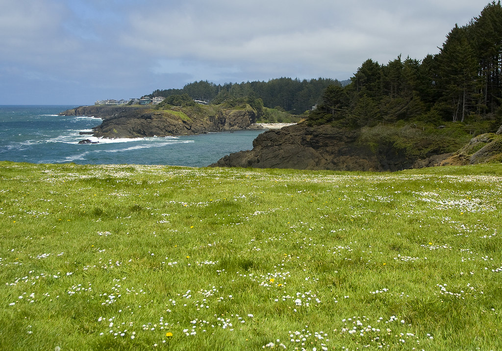 Looking North towards Whale Cove Oregon coast Meadow looki… Flickr