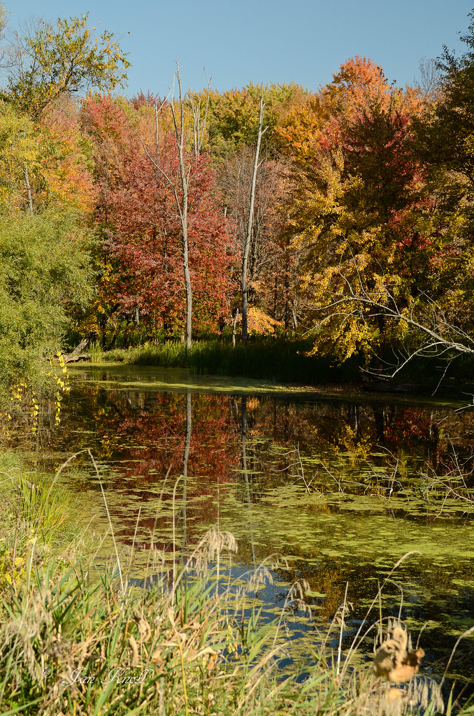 Fall Colors Frankenmuth Photo Club Flickr