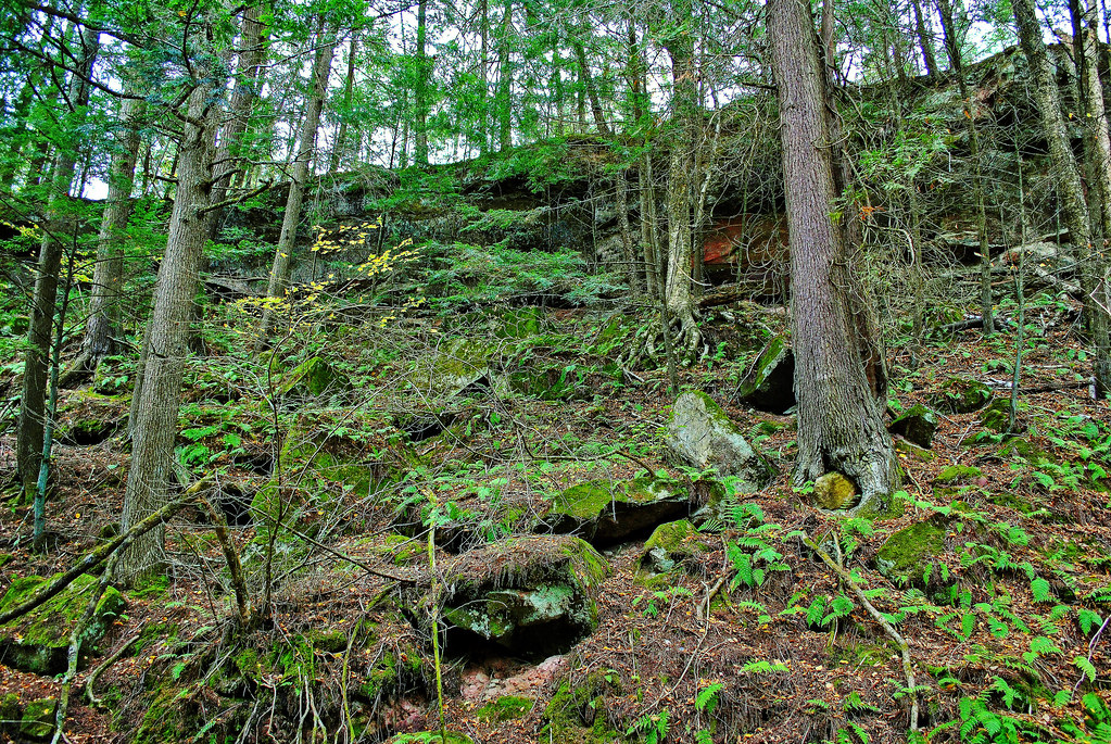 Houghton Creek Houghton Falls State Natural Area, SN… Flickr