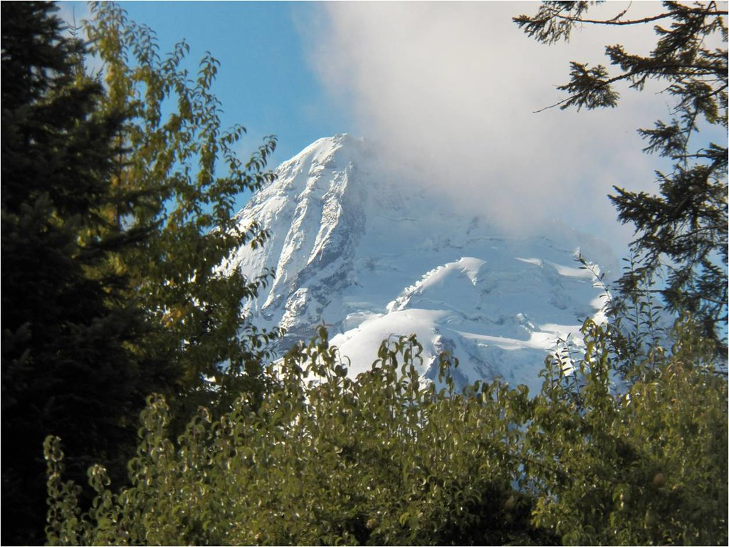 102311 Mt. Hood from the apple orchard Deborah Schlegel Flickr