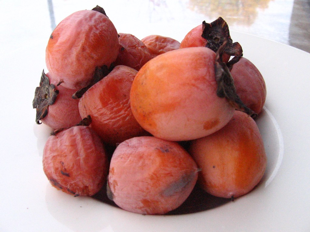 Wakarusa Valley Farm Persimmons Persimmons brought to the … Flickr