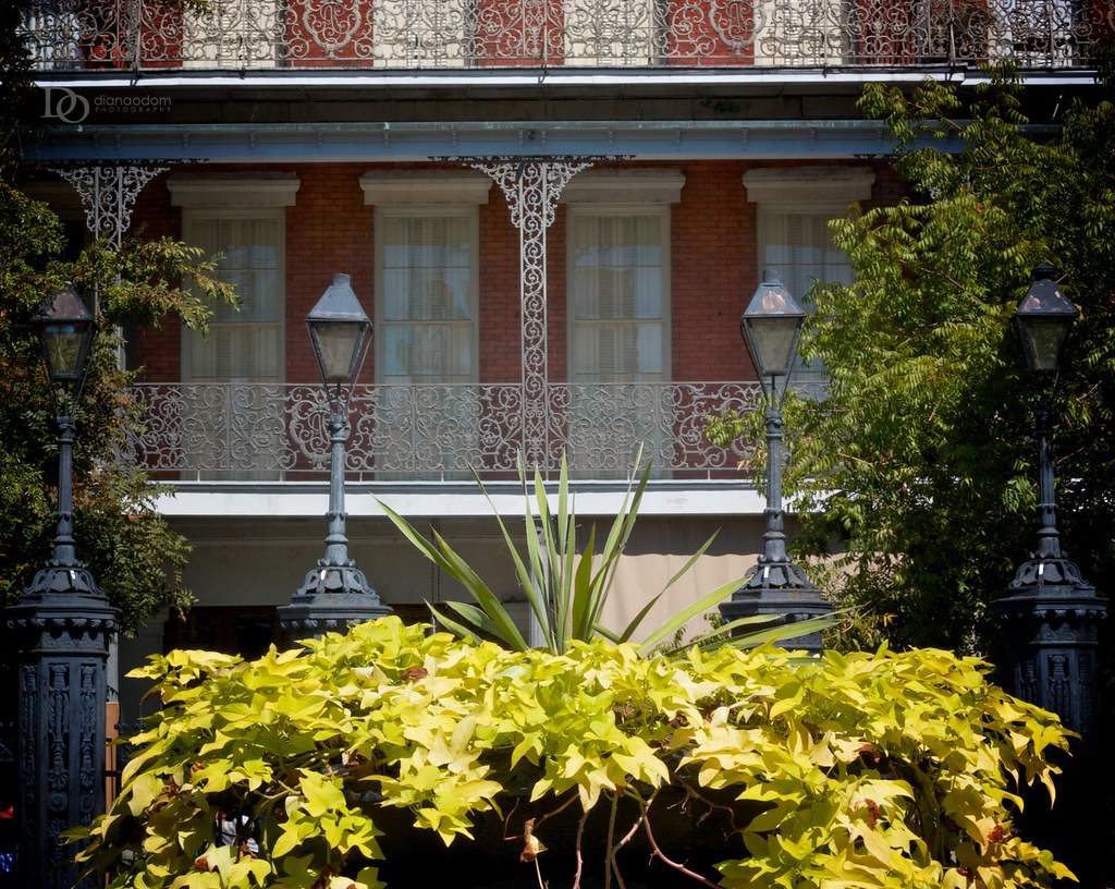 Pontalba Apartments, New Orleans A view of the Pontalba Ap… Flickr