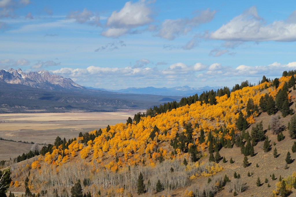 Galena Summit The brightly colored Aspens near Galena in I