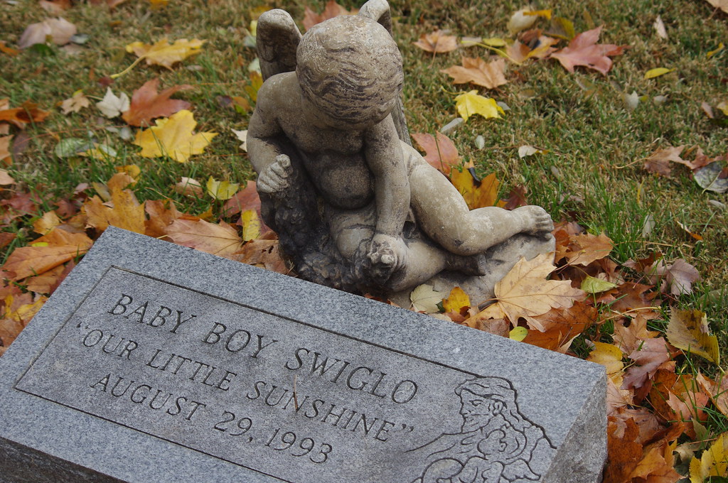 White Memorial Cemetery, Cuba Township IL White Memorial C… Flickr