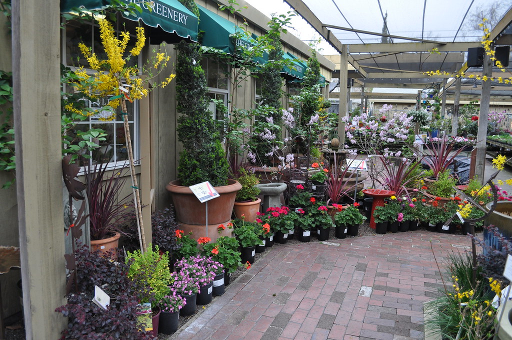 In the Nursery, March 2012 The Greenery Nursery and Garden Shop Flickr