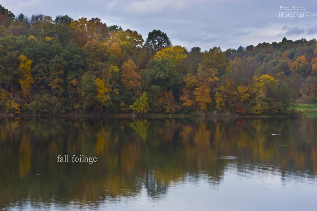 Fall Foilage Piedmont Lake, Harrison County, Ohio Mike Flickr